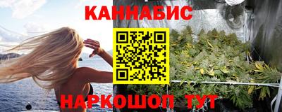 прущие крисы Камышлов