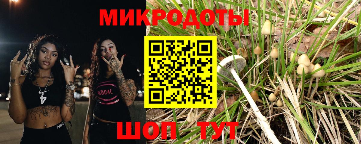 Галлюциногенные грибы Psilocybe Волхов