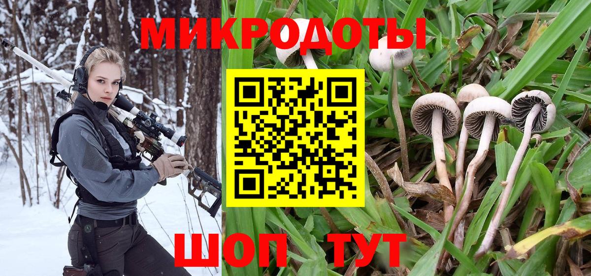 Галлюциногенные грибы Magic Shrooms  Вход с VPN  Волхов 